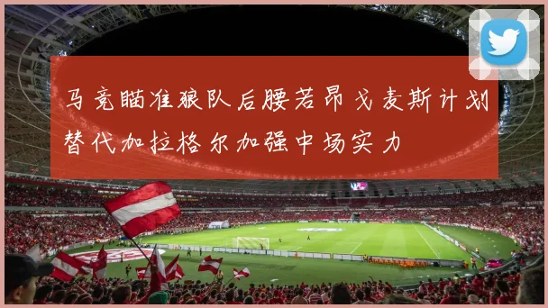 马竞瞄准狼队后腰若昂戈麦斯计划替代加拉格尔加强中场实力